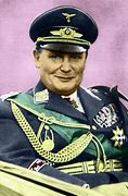 Image result for Hermann Goering Division Panzer IV Colours