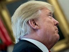 Image result for Trump Twitter Profile Picture