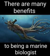 Image result for Marine Biology Puns