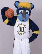 Image result for Pacers Boomer Hickory