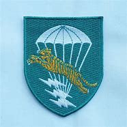 Image result for 101st Airborne Tiger Force Vietnam