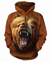 Image result for Bear Hoodie
