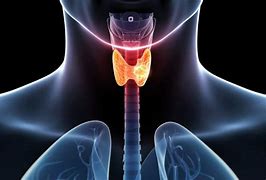 Image result for Stage 4 Throat Cancer Prognosis