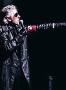 Image result for Roger Waters the Wall Back Cover