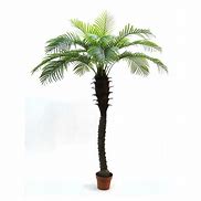 Image result for Artificial Palm Trees