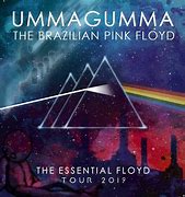 Image result for Ummagumma Pink Floyd