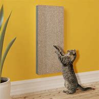 Image result for Cat Scratch Pad
