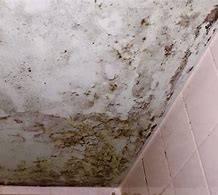 Image result for Repair Bathroom Mold