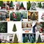Image result for Home Depot 4 FT Artificial Christmas Tree