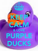 Image result for Stay Calm and Love Duckie