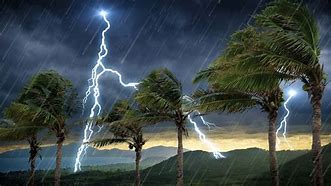 Image result for Tropical Thunderstorm