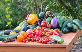 Image result for Garden Image with a Lot of Items
