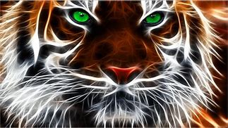 Image result for Neon Tiger Wallpaper