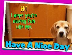 Image result for Hope You Are Having Fun