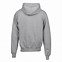 Image result for Champion Premium Reverse Weave Hoodie