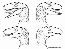 Image result for Jurassic World Velociraptor Blue Color Pages