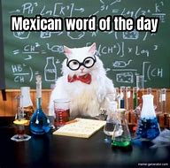 Image result for Wheelchair Mexican Word of the Day