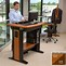 Image result for Electronic Standing Desk