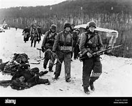 Image result for Waffen SS Budapest