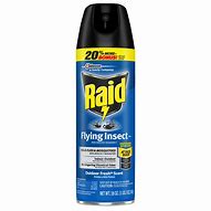 Image result for raid flying insect spray