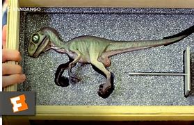 Image result for Jurassic Park Baby Raptor