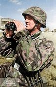 Image result for Waffen SS Soldiers in Combat