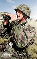 Image result for 3rd SS Panzer Division Uniform