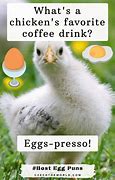 Image result for Egg Decorating Jokes