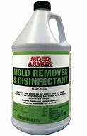 Image result for Home Depot Mold Removal Products