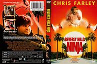 Image result for Beverly Hills Ninja DVD-Cover