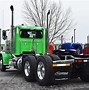Image result for Orchid 2020 389 PETERBILT