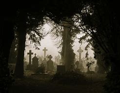Image result for foggy grave yards