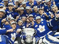 Image result for AHL Toronto Marlies