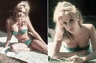 Image result for Sharon Tate Last Pictures