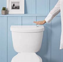 Image result for Elongated Toilet