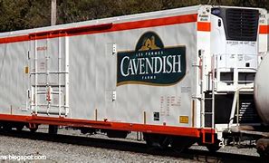 Image result for Cryo Boxcar
