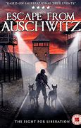 Image result for Movies Set in Auschwitz
