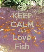 Image result for Keep Calm and Love Fish
