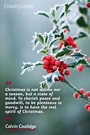 Image result for Christmas Sayings and Verses