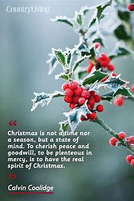 Image result for Christmas Quotes About Life