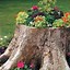 Image result for Planter Built around Tree Stump