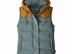 Image result for Patagonia Women's Bivy Hooded Vest