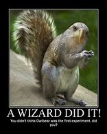 Image result for Wizard Did It