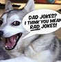 Image result for Bad Dad Jokes Clean