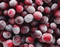 Image result for Can You Flash Freeze Food at Home