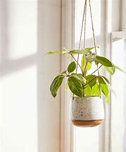 Image result for Hanging Plant Pots