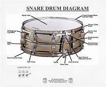 Image result for Parts of a Drum Stick Diagram