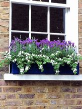 Image result for Window Sill Planter Box