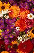 Image result for Flower Wallpaper for Kindle Fire HD 7