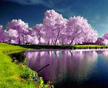 Image result for Nature Computer Backgrounds